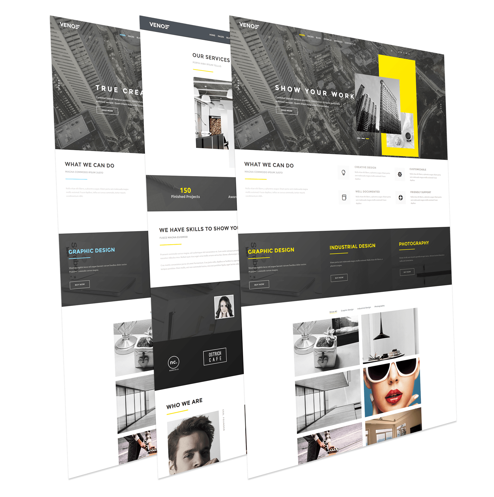 Web Development
